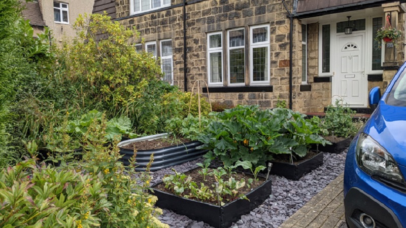 Image of garden with vegetable planters