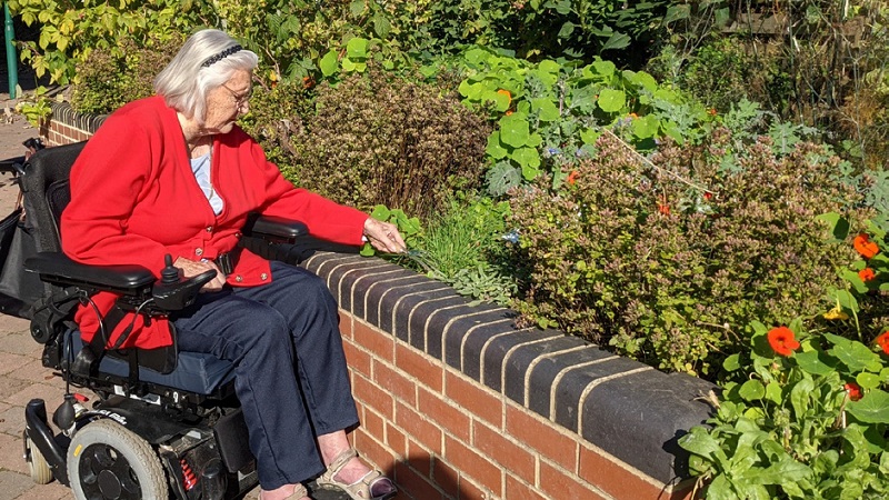 Image of a person in an electric wheelchair tending to a raised accessible garden