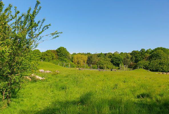 Picture of a central large sized public open space at Moortown Park