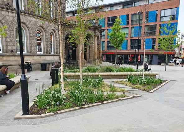 Picture of the rain garden at the Corn Exchange, Leeds City Centre