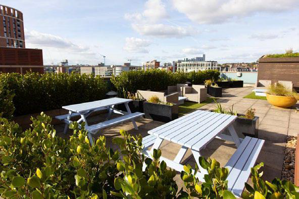 Picture of the communal roof garden at Watermans Place