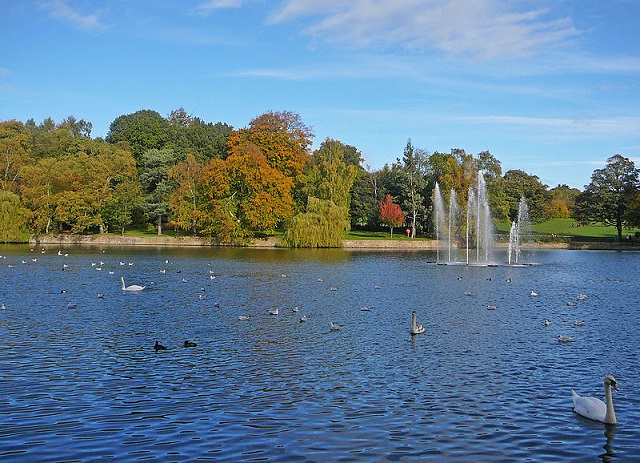Lake at Roundhay Park