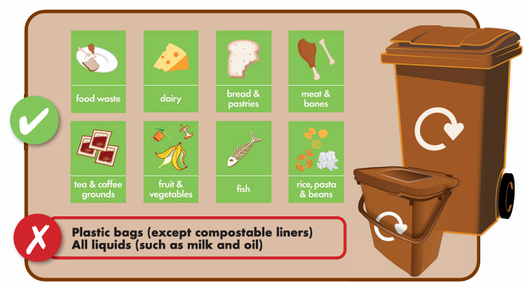 image to represent the list of accepted food waste that can be added to the brown bin