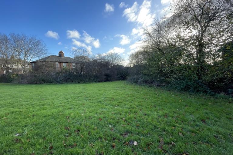 Grassed area bordered by trees with residential properties behind